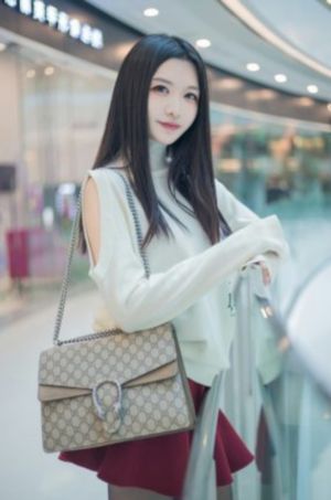 电视剧征服电视剧全集在线观看_高清完整无删减高清视频播放